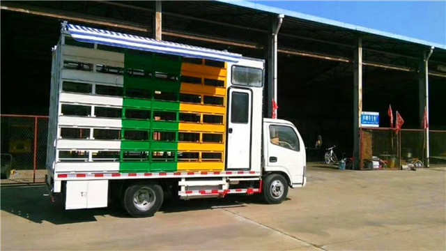 帶生活區(qū)藍(lán)牌養(yǎng)蜂車，兩邊固定意蜂箱40箱